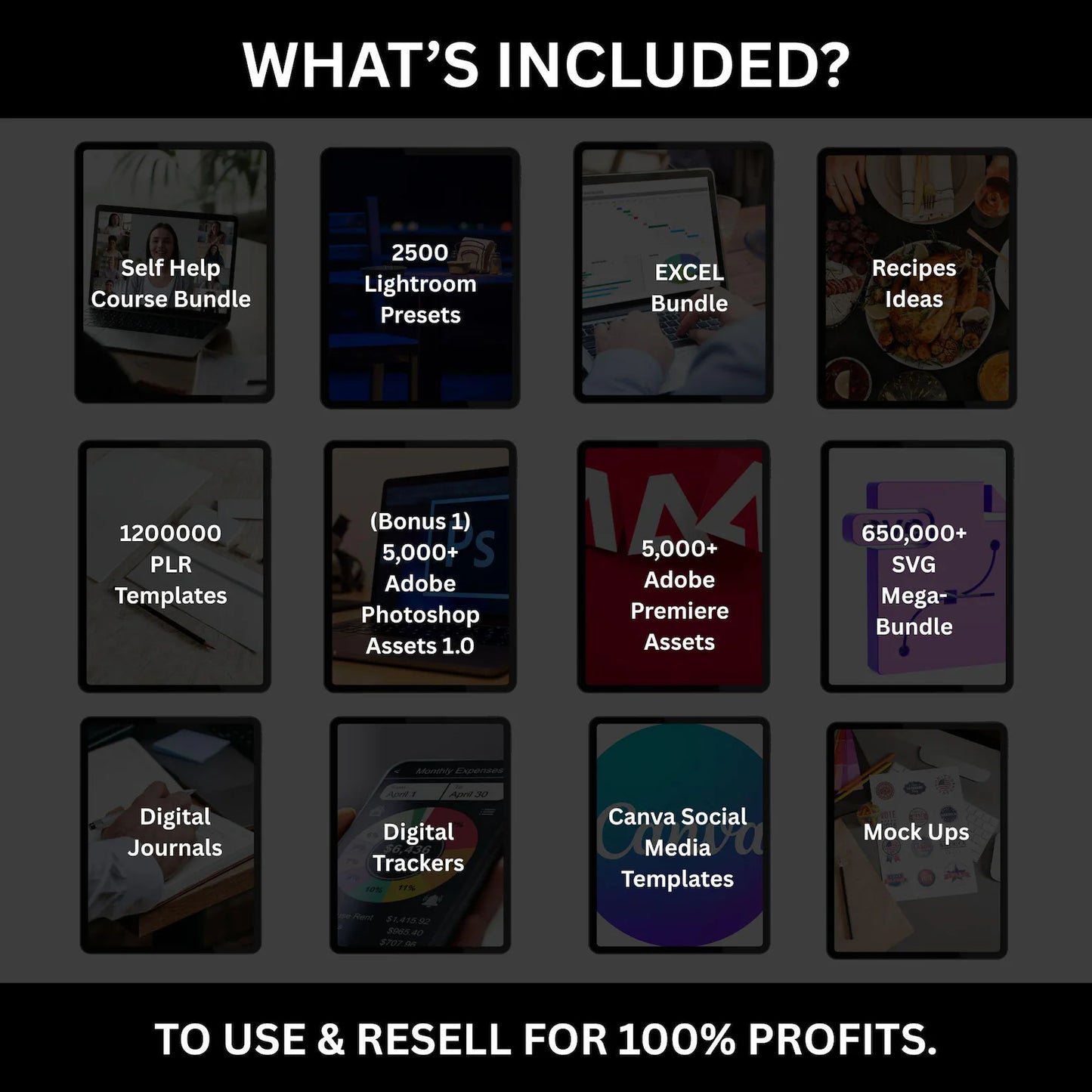 Ultimate PLR MRR Bundle Ideal for Passive Income | Plr Mrr Digital Products| Master Resell Rights | All our PLR Digital Products